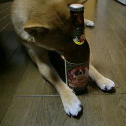 20081219-beer.jpg