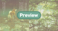 �T���v���P